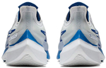 Кроссовки Nike Zoom Gravity