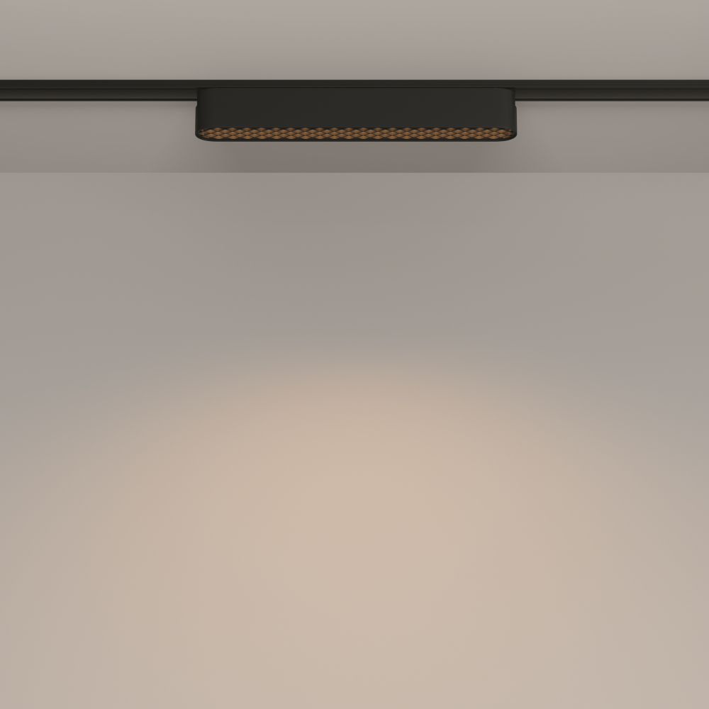 Трековый светильник Technical TR084-1-12W3K-B