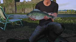Euro Fishing: Ultimate Edition (для ПК, цифровой код доступа)
