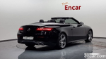 Mercedes-Benz E-Class W213 E220d Cabriolet (12.2019)