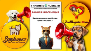 Лежанки для кошек и собак