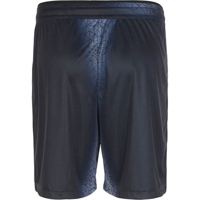 Мужские шорты теннисные EA7 Man Jersey Shorts - fancy blue