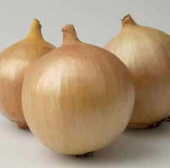 Франциско семена лука репчатого (Hazera / Хазера)