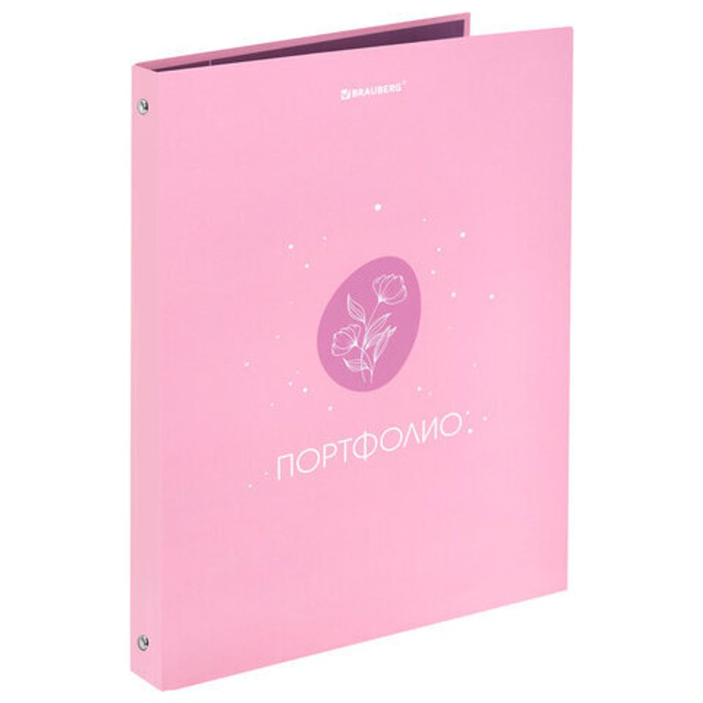 Папка-портфолио универсальная, 4 кольца, 20 файлов, 7БЦ матовая, BRAUBERG, "Gentle", 117558