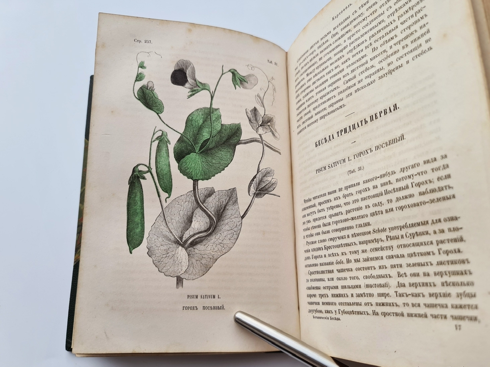 "Ботанические беседы". Б.Ауэрсвальд, Э.А.Россмесслер. 1860г.