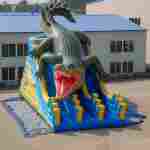 Водная горка «Крокодил Данди», 12х5х7 м