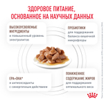 Royal Canin Gastrointestinal Moderate Calorie Гастроинтестинал Модерейт Кэлори Корм влажный диета для кошек склонных к набору веса соус 85г