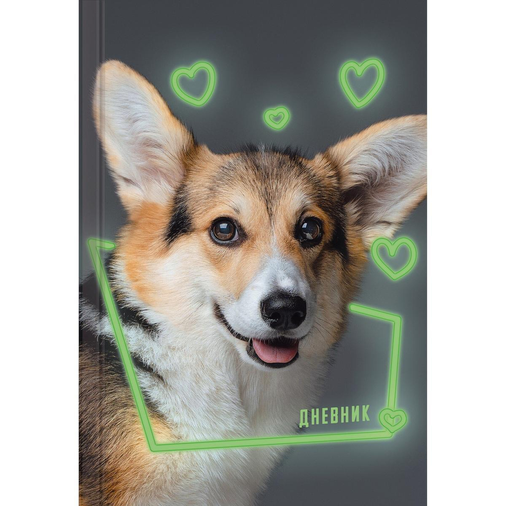 Дневник А5 48л "Домашние любимцы. Дизайн 3 (24)" (Эксмо)