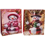 Пакет подарочный «Волшебный снеговик» 26*32*10 см, микс