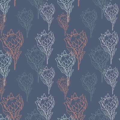 Цветы протеи в линейном стиле на синем фоне