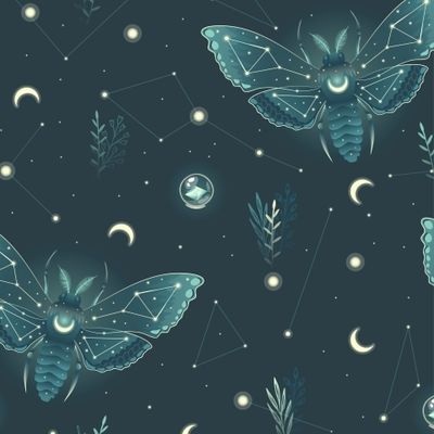 Звездный паттерн с мотыльками