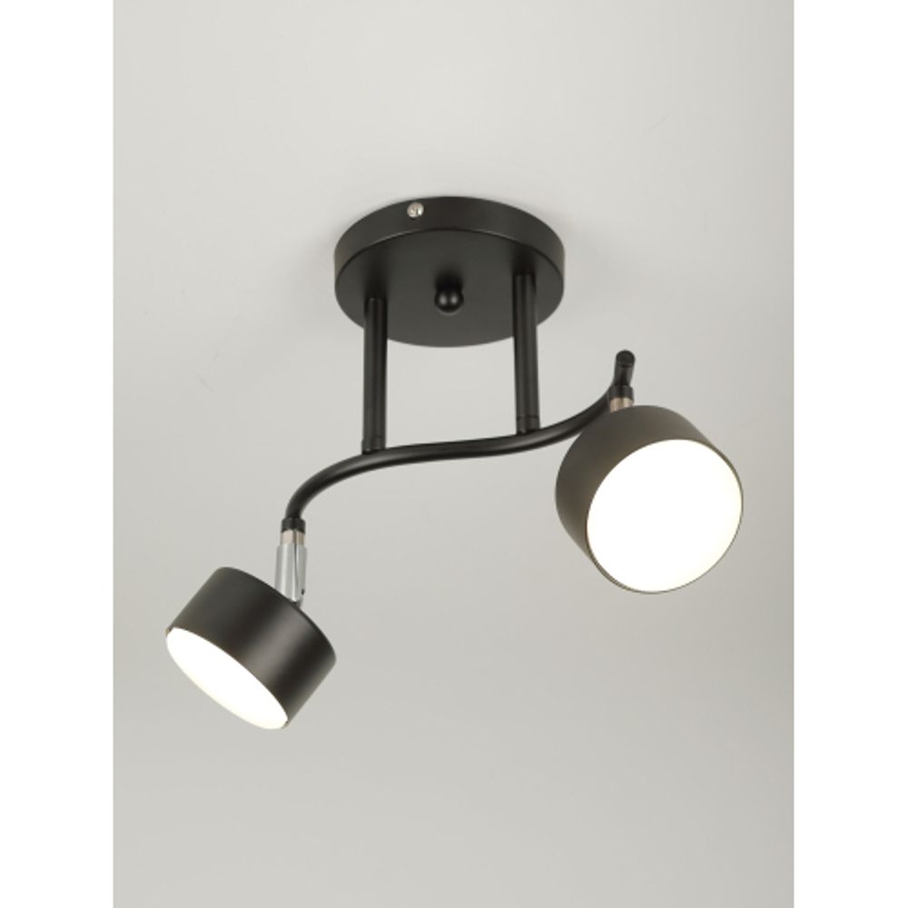 Светильник настенно-потолочный спот Rivoli Vanessa 7074-702 2хGX53 15 Вт поворотный | Rivoli