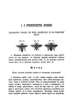 Руководство к пчеловодству | Соколов Н.