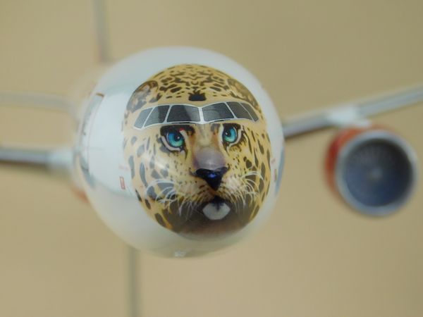 Модель самолета Boeing 777-300 «Леолёт» авиакомпании «Россия» в масштабе 1:144