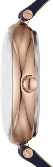 Женские часы Skagen SKW2981