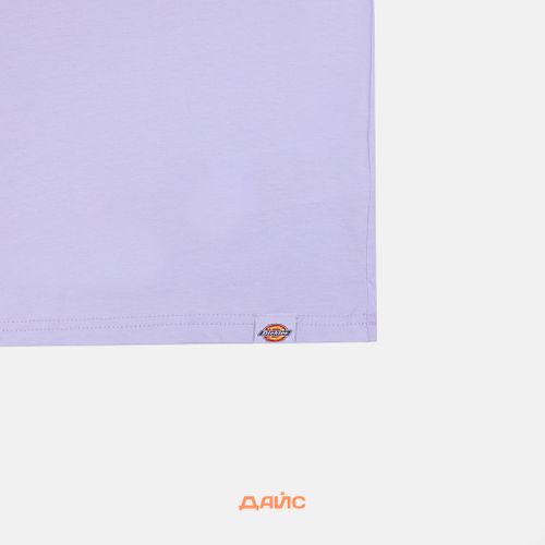 Футболка мужская Dickies Patrick Springs Tee  артикул:DK0A4YR7H181 - купить в магазине Дайс