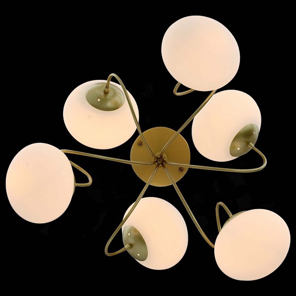 Люстра на штанге EVOLUCE Acini SL717.202.06