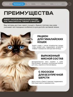 Корм сухой для взрослых кошек породы Гималайская, с лососем, 2 кг, QUATTRO