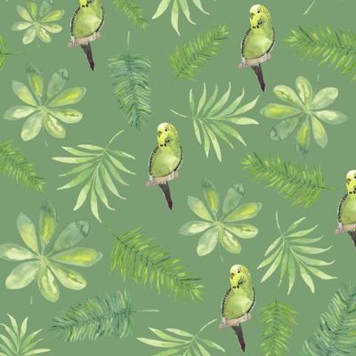 Tropics_4