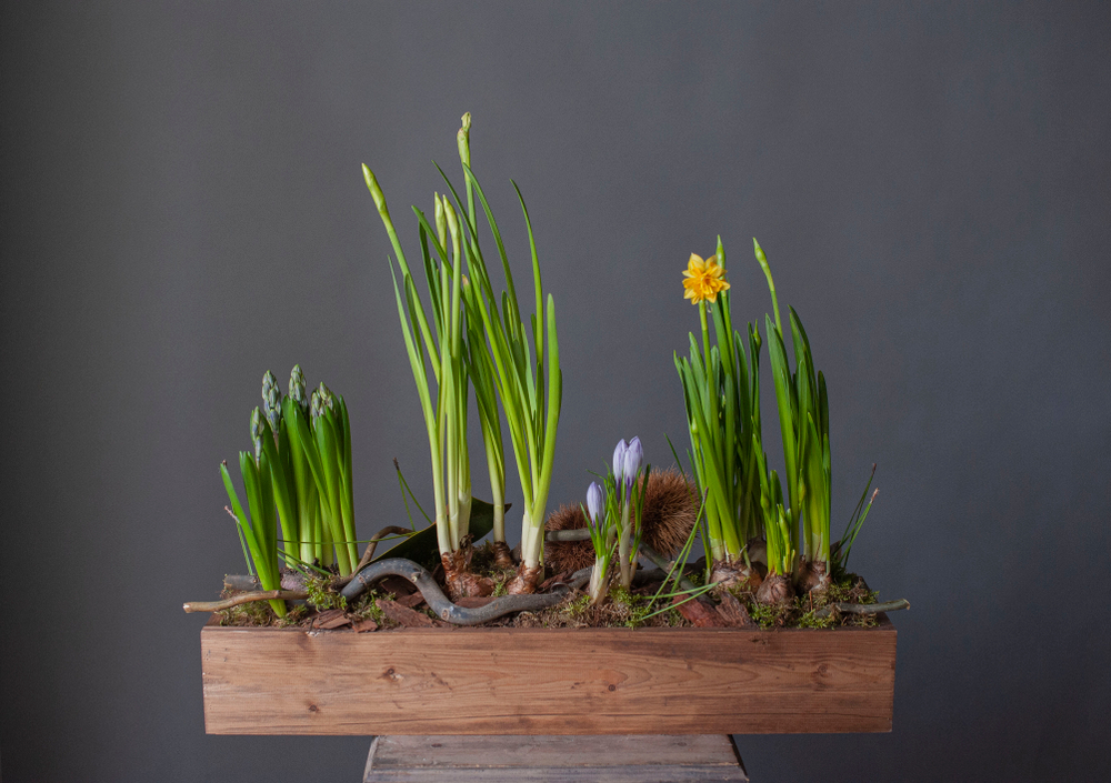 Весенняя композиция №15