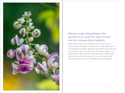 The Art of Gardening: Design Inspiration and Innovative Planting Techniques from Chanticleer
