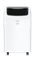 Мобильный кондиционер FUNAI LOTUS MAC-LT45HPN03 — (1)