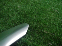 DSCN4046.JPG