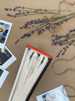 Фотоальбом на 100 фото 10х15 см, пластик. листы travel traces Нью-Йорк