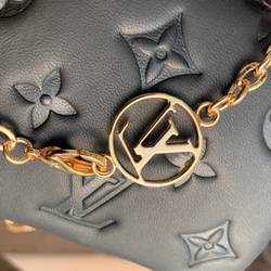 Louis Vuitton Beltbag Coussin