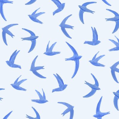 стрижи в полете