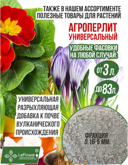 Ирис луковицы 5шт., Аполло