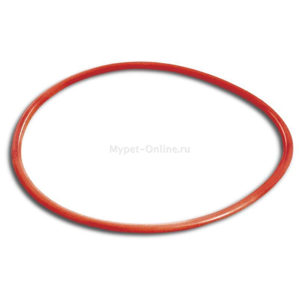 Кольцо уплотнительное силиконовое головки фильтра KF-2208/2218, d160*6мм, Laguna