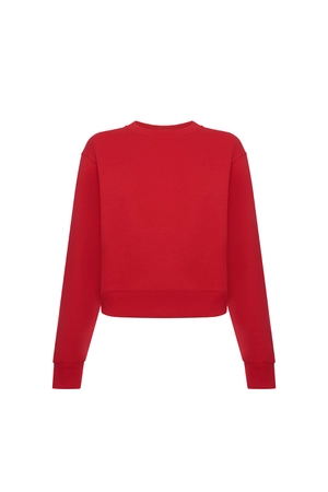 Свитшот Красный