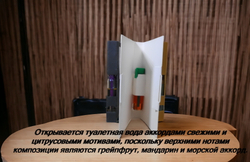 Парфюмерная вода мужская СвеТLана Mr. Newl C&M016-00 1 мл