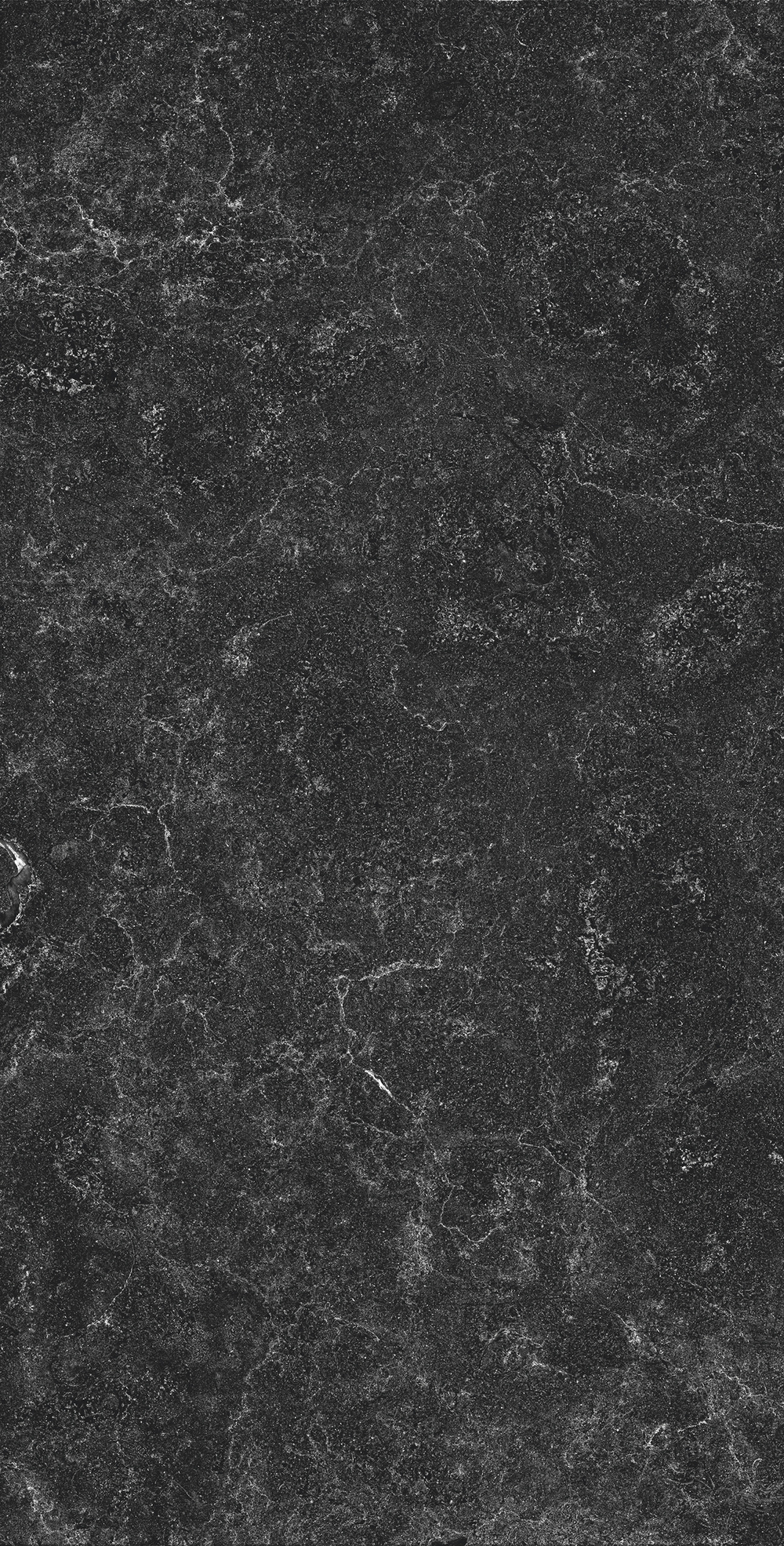 Керамогранит, Creanza, PALATINO NERO, 1200x600 мм, матовая с глянцевым эффектом