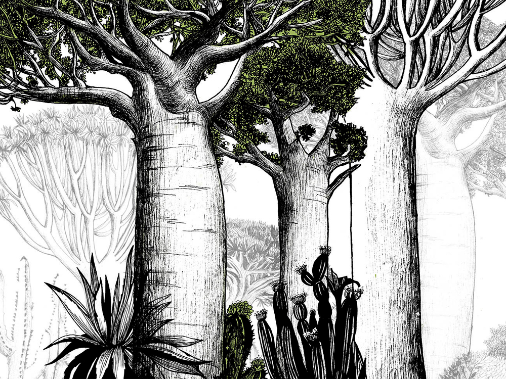 Дизайнерские обои Wall Street Zoo