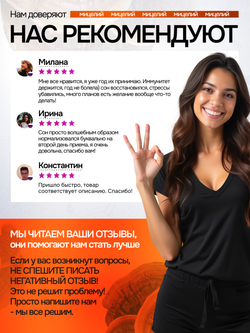 Рейши Линчжи 90 капсул