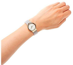 Женские наручные часы Skagen SKW2666