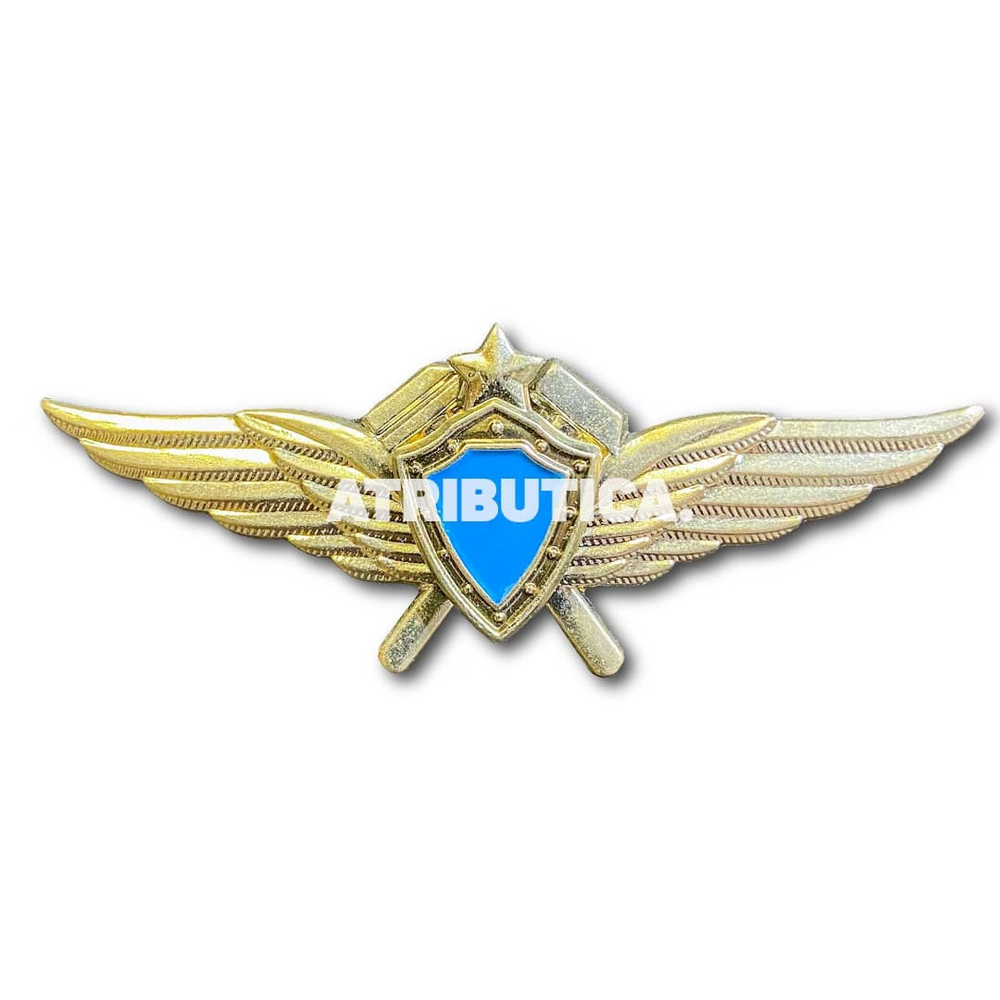 Знак Нагрудный Летная Классность Техник | ATRIBUTICASTORE.RU