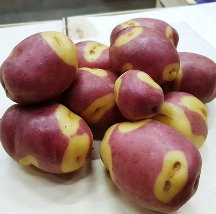 Апачи картофель, Аpache Potatoes, комплект из 10 клубней
