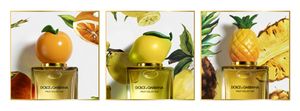 Dolce and Gabbana Lemon