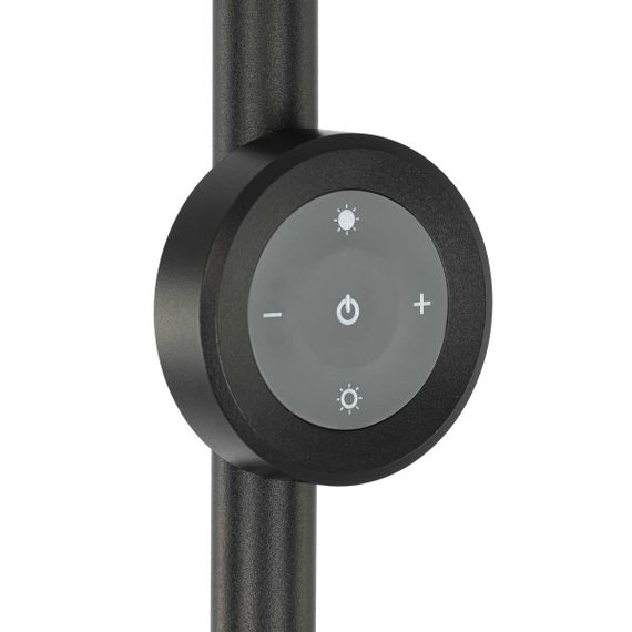 Торшер Citilux Loong CL810031