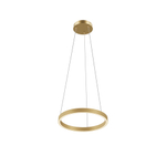 Подвесной светильник Maytoni MOD058PL-L22BSK