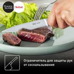 Набор ножей для стейка Tefal 4 предмета Jamie Oliver 12 cм K2670849