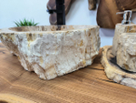 Раковина из окаменелого дерева OD-65688 50х40х15 из натурального камня