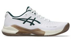 Мужские кроссовки теннисные Asics Gel-Challenger 14 Clay - белый
