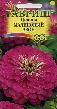 Циния