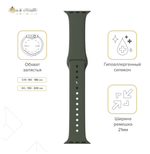 Силиконовый ремешок для Apple Watch 40/41/42 mm Lyambda Premium Altair DSJ-01-40-OL Olive