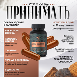 Гриб Чага Березовая, капсулы 120 шт по 500мг