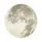 3084/CL PALE SN 117 Светильник пластик/белый/серый LED 30Вт 4000К D330 IP43 MOON